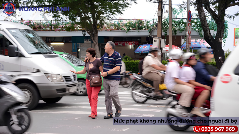 Không nhường đường cho người đi bộ
